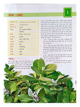 आयुर्वेद जड़ी बूटी रहस्य  Ayurveda jadi buti Rahasya - Retail Maharaj