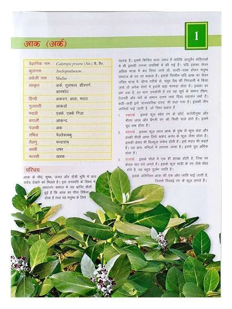 आयुर्वेद जड़ी बूटी रहस्य  Ayurveda jadi buti Rahasya - Retail Maharaj