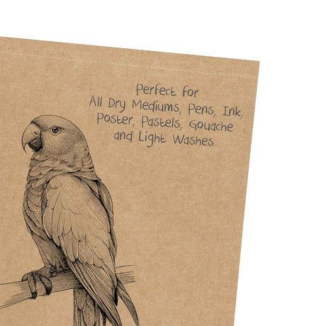 Scholar Kraft Toned Paper Loose Sheets 170gsm for Sketching and Mixed Media - Retail Maharaj