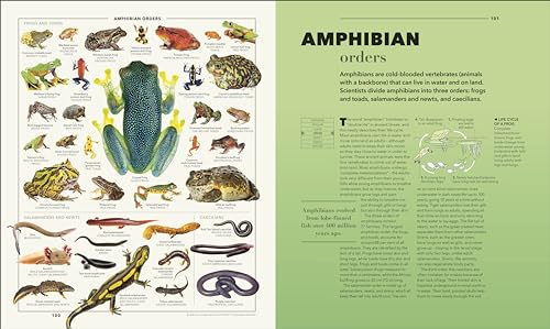 Knowledge A Visual Compendium: Making Sense of our World