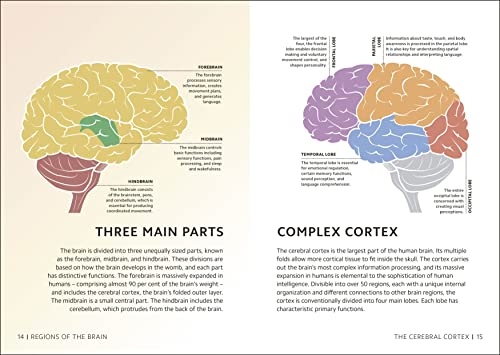 Simply The Brain (DK Simply)