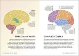 Simply The Brain (DK Simply)