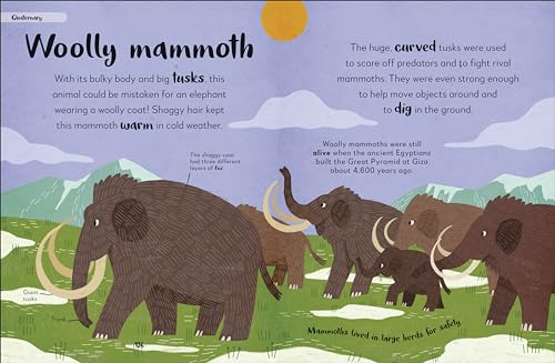 Bedtime Books: A Lovable Introduction to Animals and Dinosaurs