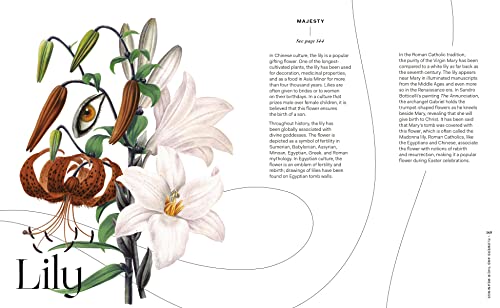 Flowers and Their Meanings: The Secret Language and History of Over 600 Blooms (A Flower Dictionary) - Retail Maharaj