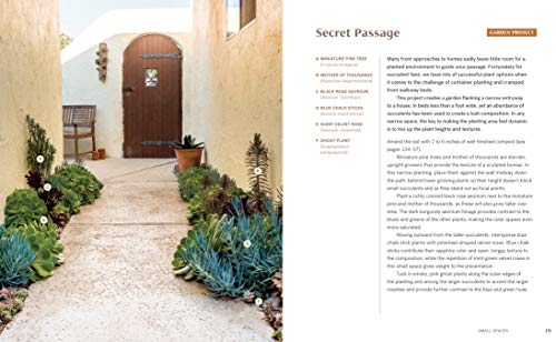 Striking Succulent Gardens: Plants and Plans for Designing Your Low-Maintenance Landscape [A Gardening Book]