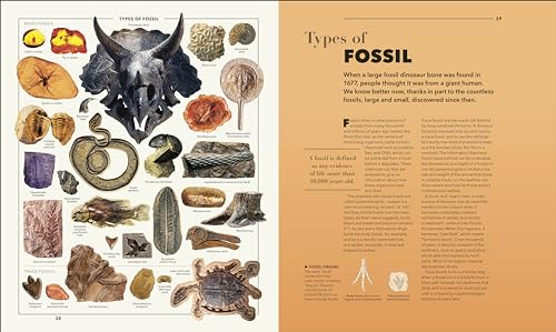 Knowledge A Visual Compendium: Making Sense of our World