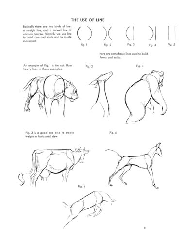 The Art of Animal Drawing: Construction, Action Analysis, Caricature