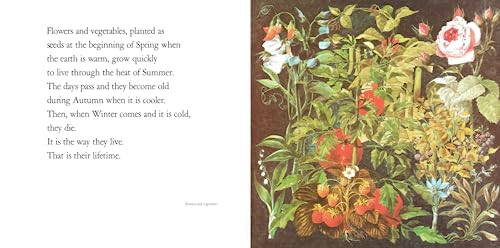 Lifetimes: The Beautiful Way to Explain Death to Children