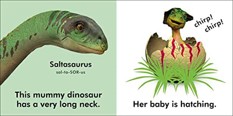 Baby Touch and Feel Baby Dinosaur - Retail Maharaj