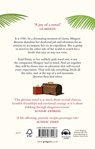 Miss Benson's Beetle: An uplifting story of female friendship against the odds