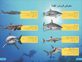 DK Super Readers Level 4 Shark Apex Predator (Arabic translation)