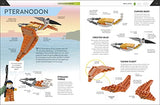 How to Build LEGO Dinosaurs: Go on a Journey to Become a Better Builder
