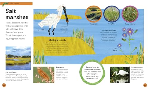 The Very Hungry Caterpillar's Very First Ocean Encyclopedia: An Introduction to the Ocean, for Very Hungry Young Minds
