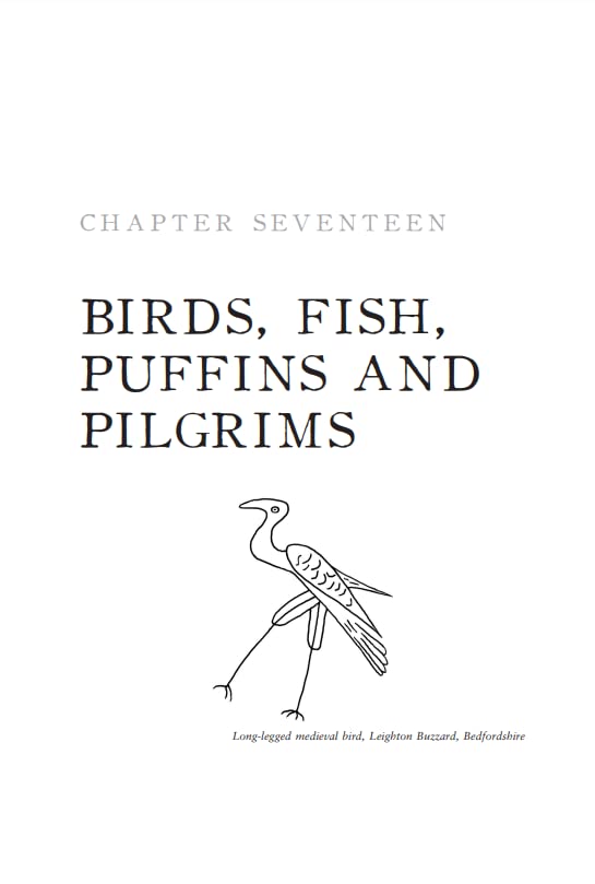 Medieval Graffiti: The Lost Voices of England's Churches - Retail Maharaj