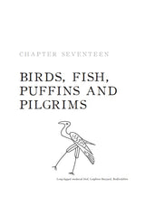 Medieval Graffiti: The Lost Voices of England's Churches - Retail Maharaj