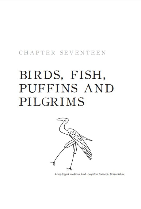 Medieval Graffiti: The Lost Voices of England's Churches - Retail Maharaj