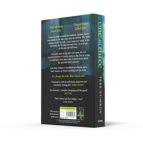 One in Three: A completely unputdownable psychological thriller with a shocking twist - Retail Maharaj