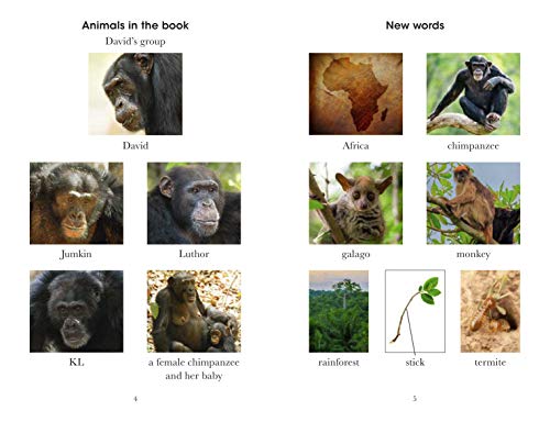 Penguin Readers Level 3: Dynasties: Chimpanzees (ELT Graded Reader)