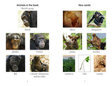 Penguin Readers Level 3: Dynasties: Chimpanzees (ELT Graded Reader)