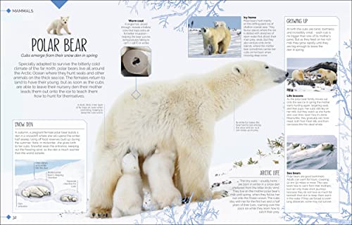 Born to be Wild: How Baby Animals Survive and Thrive