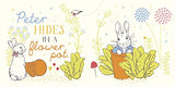 Peter Rabbit: Hello Peter! (Peter Rabbit Baby Books) - Retail Maharaj