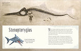 Dinosaurs and Other Prehistoric Life (DK Children's Anthologies) - Retail Maharaj