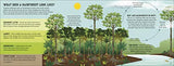 The Rainforest Book (Conservation for Kids)