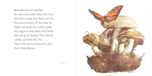 Lifetimes: The Beautiful Way to Explain Death to Children