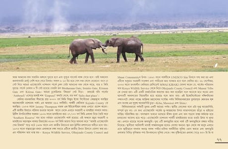 Ghure Elam Africa (Bengali Version) - Retail Maharaj
