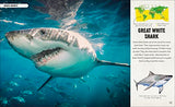 Amazing Animal Journeys: The Most Incredible Migrations in the Natural World