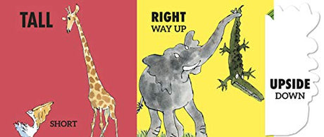 Roald Dahl’s Opposites: (Lift-the-Flap) - Retail Maharaj