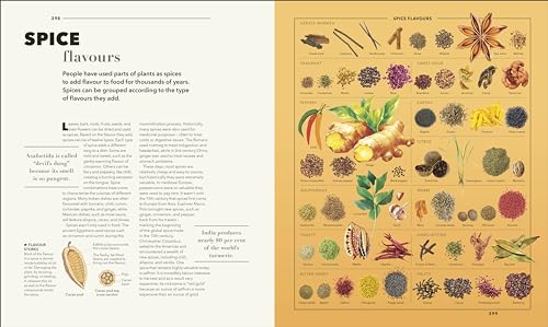Knowledge A Visual Compendium: Making Sense of our World