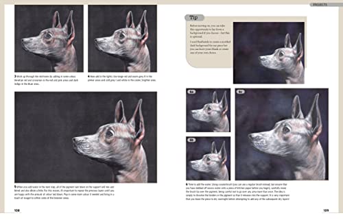 Drawing Animal Portraits in Coloured Pencil - Retail Maharaj