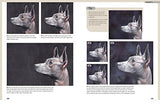 Drawing Animal Portraits in Coloured Pencil - Retail Maharaj