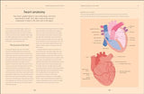 Heart: An Owner's Guide: The Irish Times Number 1 Bestseller