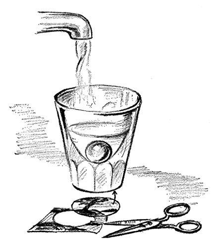 Entertaining Science Experiments With Everyday Objects (Dover Children's Science Books)