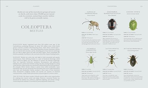 RES Insects: Discover the Science and Secrets Behind the World of Insects