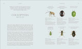RES Insects: Discover the Science and Secrets Behind the World of Insects