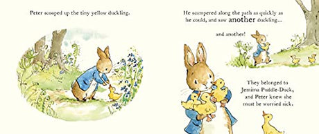 Peter Rabbit Tales - A Spring Surprise: An Easter picture board book for toddlers (Peter Rabbit Baby Books) - Retail Maharaj