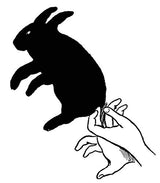 Complete Book of Hand Shadows: Instructions for Shadowgraphy (Dover Books on Magic, Games and Puzzles)