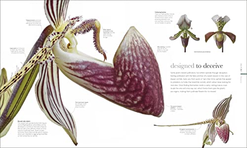 The Science of Plants: Inside their Secret World