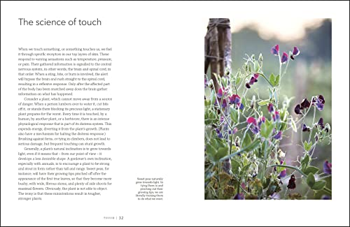 Garden for the Senses: How Your Garden Can Soothe Your Mind and Awaken Your Soul