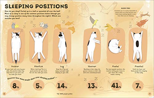 The Magic of Sleep: . . . and the Science of Dreams - Retail Maharaj