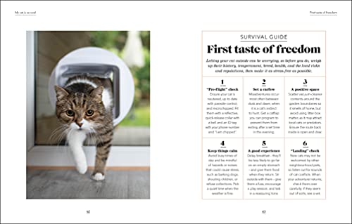 What's My Cat Thinking?: Understand Your Cat to Give Them a Happy Life