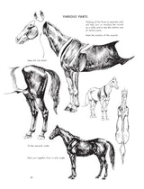 The Art of Animal Drawing: Construction, Action Analysis, Caricature