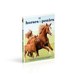 Horses & Ponies: Everything You Need to Know, From Bridles and Breeds to Jodhpurs and Jumping! - Retail Maharaj