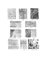 Landscape Drawing in Pencil