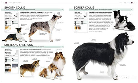 The Complete Dog Breed Book - Retail Maharaj