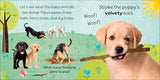 Touch and Feel Baby Animals: With Tactiles for Toddlers to Explore