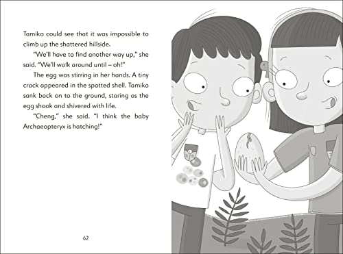 The Secret Explorers and the Jurassic Rescue (Secret Explorers 4) - Retail Maharaj